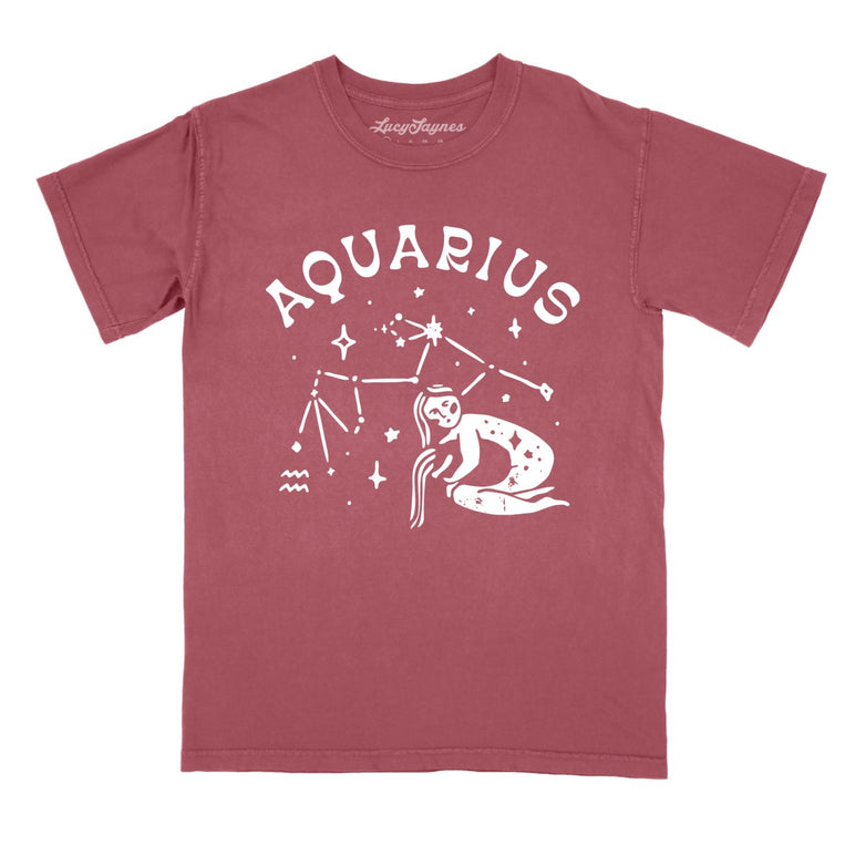 Aquarius Comfort Colors Graphic Tee - Brick