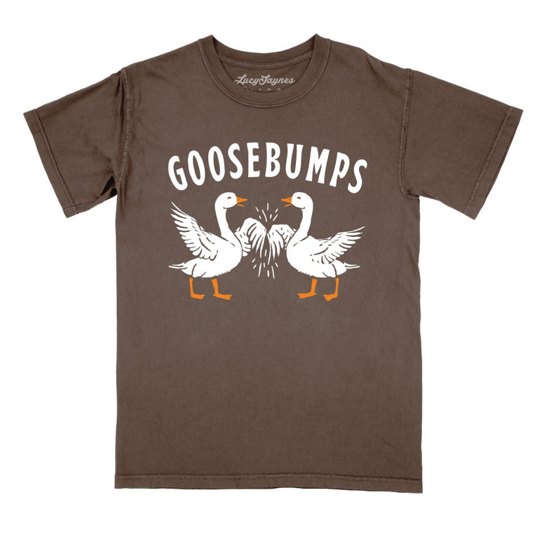 Goosebumps Comfort Colors Graphic Tee - Espresso