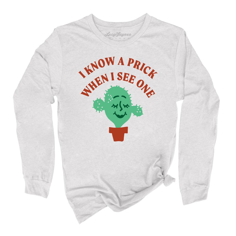 I Know a Prick When I See One Graphic Long Sleeve Tee - Ash