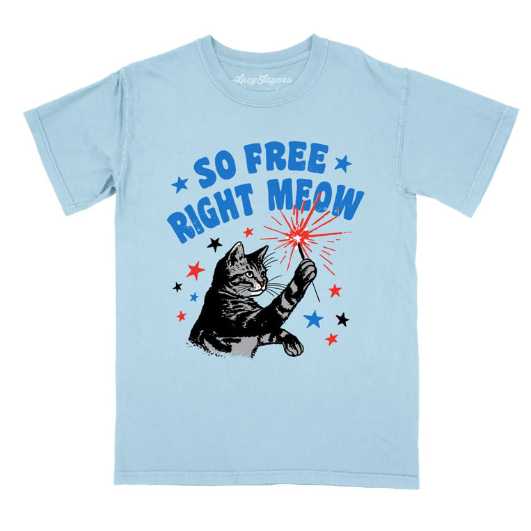 So Free Right Meow Comfort Colors Graphic Tee - Chambray