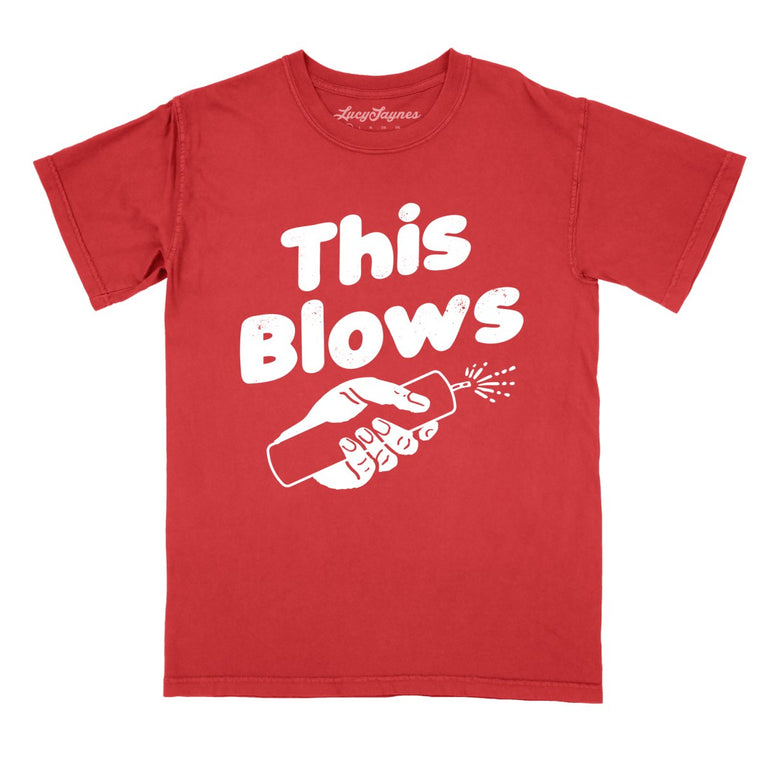 This Blows Comfort Colors Graphic Tee