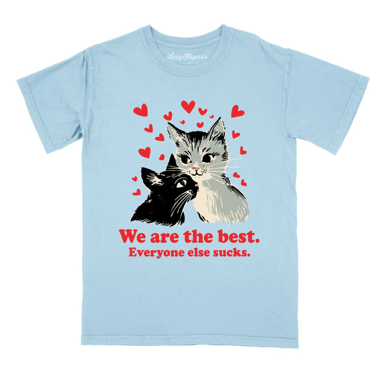 We Are The Best Comfort Colors Graphic Tee - Chambray