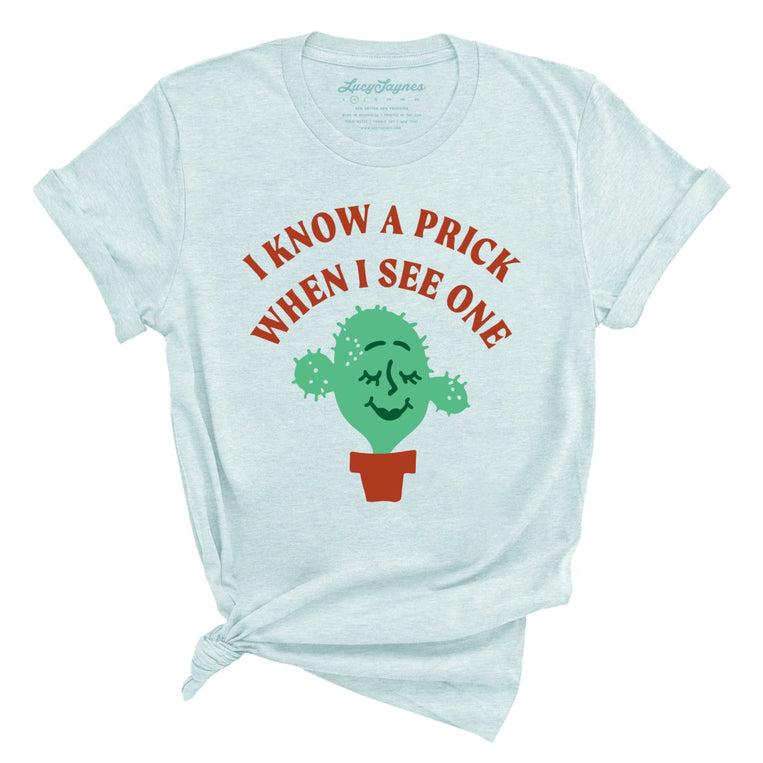 I Know a Prick When I See One Graphic Tee - Heather Ice Blue