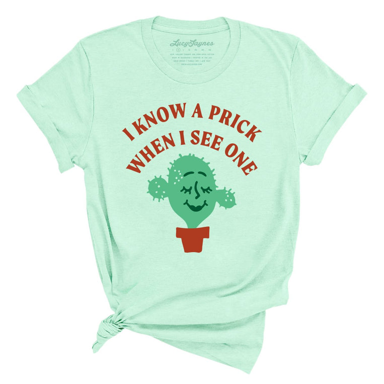 I Know a Prick When I See One Graphic Tee - Heather Mint